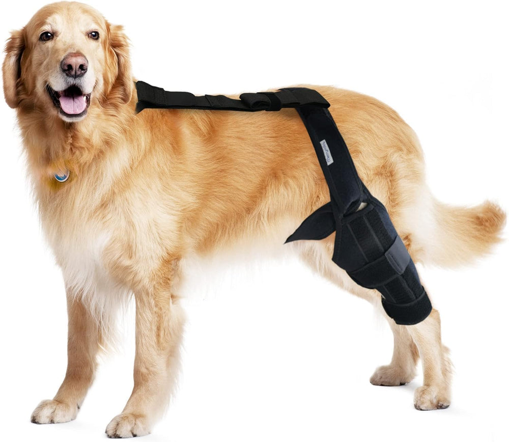 Rodillera MerryMilo para perro, ajuste-seguro durante paseos diarios.