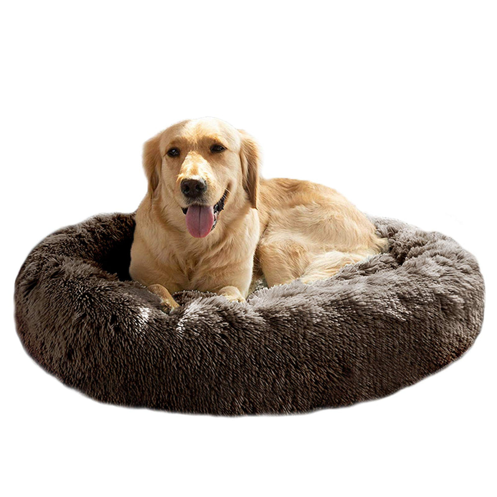 Cama MFOX Calming vista frontal, ideal para descanso profundo.