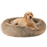 Cama MFOX calmante donut: bordes altos para seguridad y descanso.