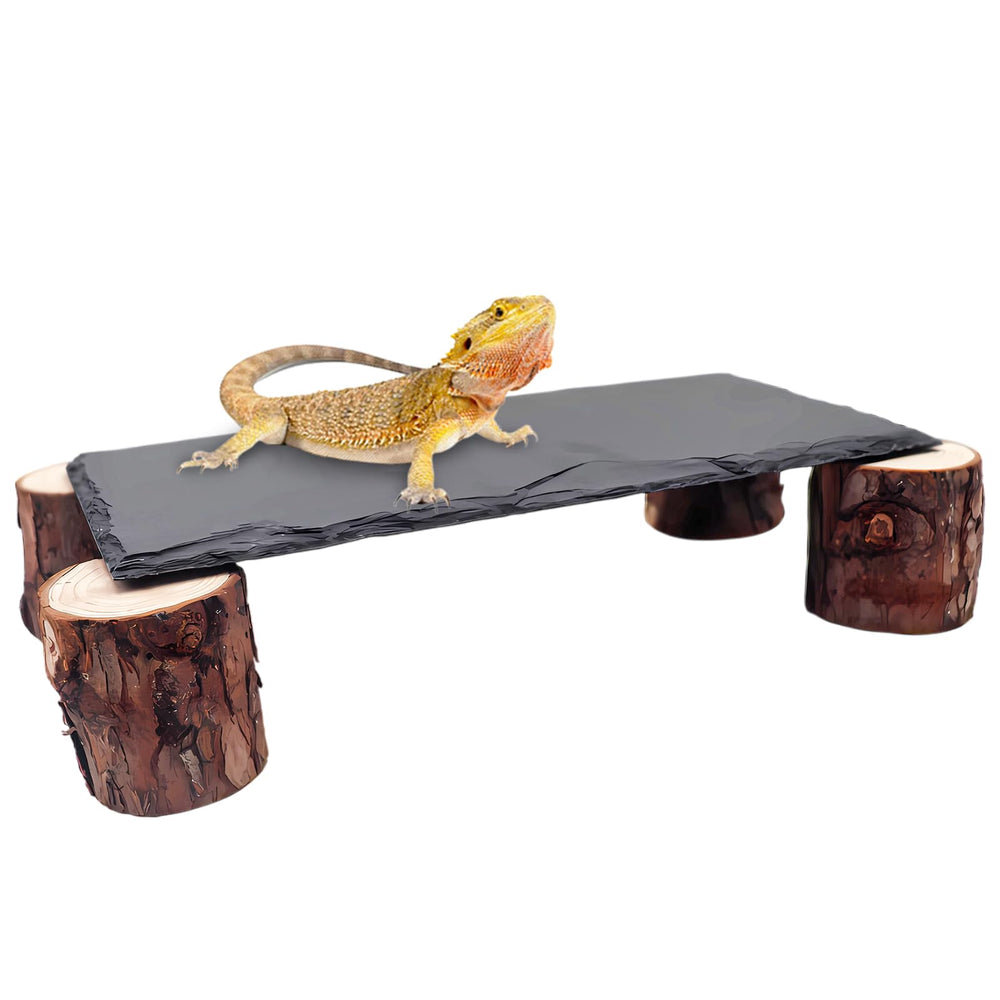 MHLLGN plataforma de bronceado para reptiles, facilita la absorción de calor y confort para tu dragón barbudo