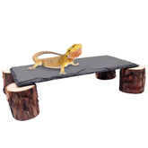 MHLLGN plataforma de bronceado para reptiles, facilita la absorción de calor y confort para tu dragón barbudo