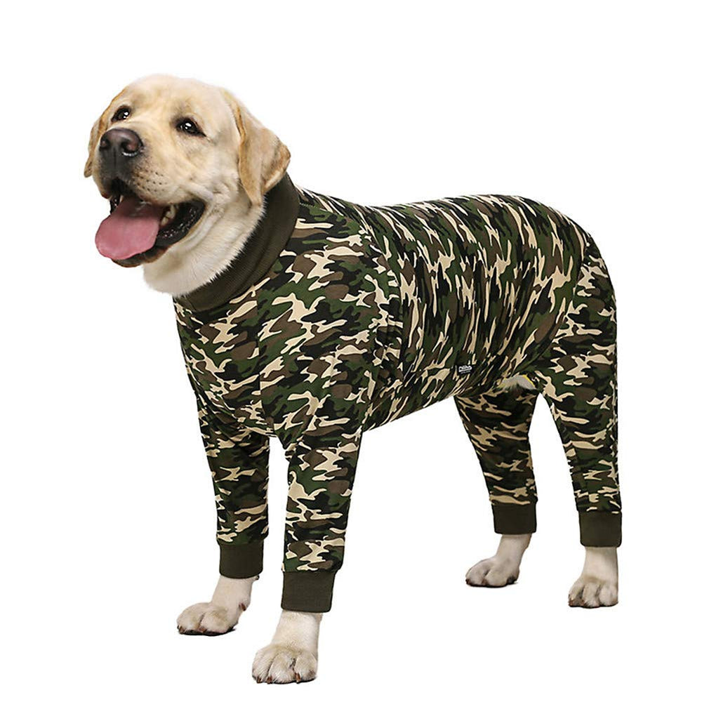 Miaododo traje recuperación para perros mediano/grande, vista frontal, protege la herida.
