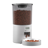 Miaosical alimentador automático con depósito claro de 4,2 L para ver la comida.
