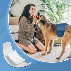 MICOOYO solución multifuncional para diferentes necesidades de mascotas.