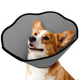 MIDOG collar suave para perros, frente, evita lamer heridas tras cirugía