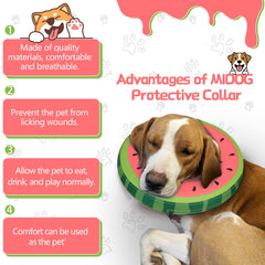 Cono inflable MIDOG con ajuste seguro y hebilla duradera.
