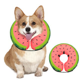 MIDOG cono-inflable-dona-rojo-s evita lamer y permite comer con normalidad.