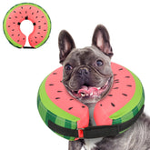 Cono inflable suave MIDOG tipo dona para perro, evita lamer y facilita recuperación.