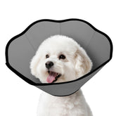 Cono MIDOG para perro tras cirugía, protección segura de la herida sin apretar