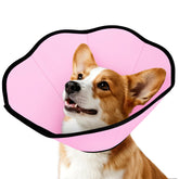 Cono suave MIDOG para perro protege heridas durante recuperación.