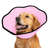 Cono suave MIDOG para perros protege heridas tras cirugía, permitiendo movimiento cómodo