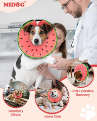 MIDOG correa ajustable cuello sandia: ajuste seguro para un uso estable.