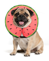 MIDOG cono melena de león sandia: protección suave sin bloquear la visión.