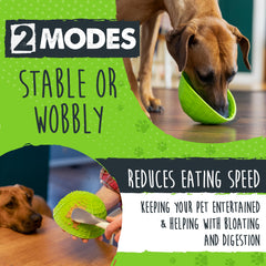 Modos estables e inestables para mantener a tu perro concentrado.