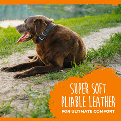 Logo grabado en relieve en collar Mighty Paw para estilo distintivo.