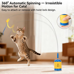 Migipaws cable 70 cm: amplia área de juego y ejercicio