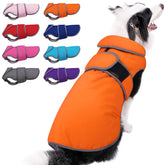 Abrigo impermeable MIGOHI para perros en días lluviosos