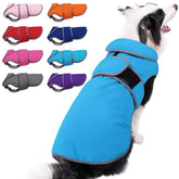 MIGOHI abrigo para perro con exterior impermeable, ideal para paseos bajo lluvia.