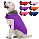 MIGOHI abrigo para perro, vista frontal, ideal para paseos fríos y confort inmediato.