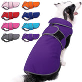 MIGOHI abrigo impermeable de invierno para perros, mantiene al perro seco bajo la lluvia