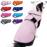Capa de perro MIGOHI impermeable para lluvia, protección duradera durante paseos.