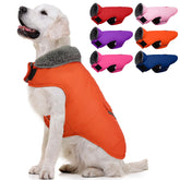 MIGOHI capa para perro vista frontal, ideal para paseos en clima frío.
