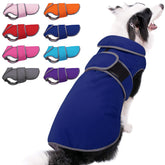 MIGOHI chaqueta para perro invierno impermeable con forro cálido para días fríos