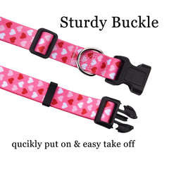 Correa Mihqy de 2 cm de ancho en rosa, confort y durabilidad para cada paseo.