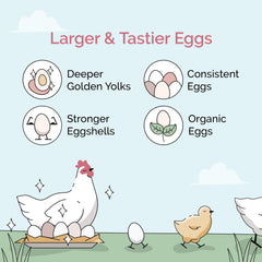 Mile Four aporta 18% proteína para aves activas y producción estable de huevos