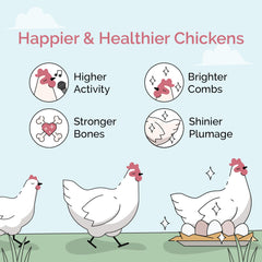 Mile Four alimento no medicado para aves sanas y plumaje brillante