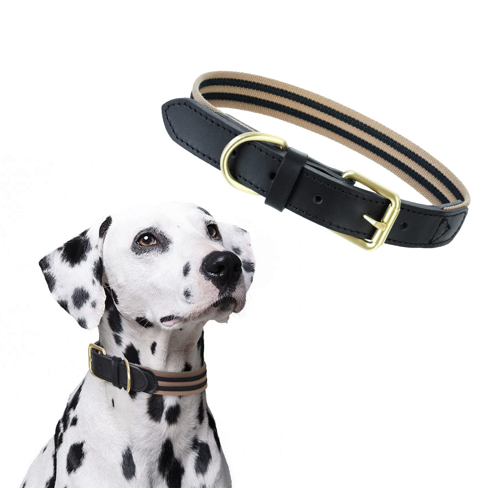Collar Mile High Life de cuero genuino para perros, duradero y elegante.