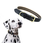 Collar Mile High Life de cuero genuino para perros, duradero y elegante.
