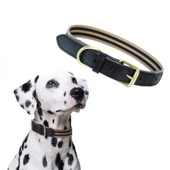 Collar Mile High Life de cuero genuino para perros, duradero y elegante.