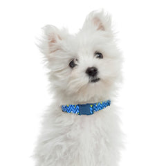 Mile High Life collar para perro con hebilla duradera, cómodo para uso diario.