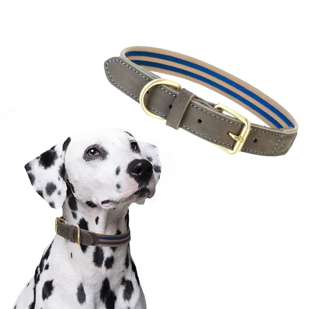 Mile High Life collar de cuero y lona, duradero para paseos diarios.