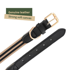 Tallas ajustables del collar Mile High Life para perros grandes.