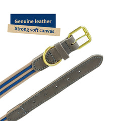 Mile High Life collar en tallas y ajuste, ideal para razas medianas.