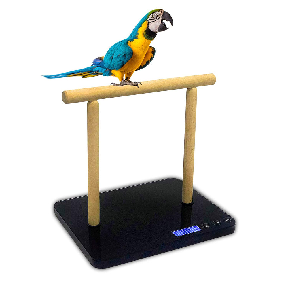MINDPET-MED balanza digital para aves con posadero, ideal para monitorear peso