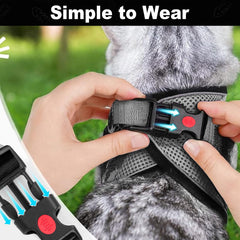 MingXpets correa-gato-paseo-viaje: ideal para viajes con tu gato.