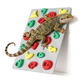 MITCHENIFY muro de escalada para reptiles, estimula exploración y ejercicio en el terrario.
