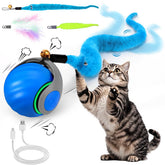 Mity Rain bola interactiva para gatos con colas de pluma, impulsando juego activo.