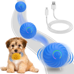 Pelota interactiva Mity Rain para perros pequeños, rodando y estimulando su curiosidad.