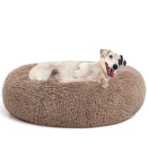 MIXJOY cama ortopédica redonda en forma de dona, cómodo refugio para mascotas