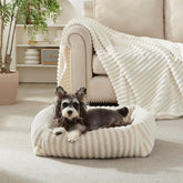Cama MIXJOY para perro mediano con funda desmontable, fácil de lavar.