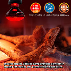 Lámpara MIXJOY de basking para reptiles, calor suave en zonas de descanso.