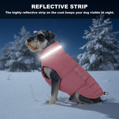 Diseno elegante Mklhgty, chaqueta para perros con estilo diario.