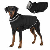Mklhgty capa para perro grande con correa integrada, ideal para paseos seguros.