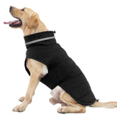 Mklhgty capa impermeable para perro, vista frontal, ideal para lluvia y paseos.