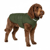 Chaqueta impermeable Mklhgty para perros medianos, en verde, mantiene al animal seco