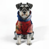 Sudadera Mklhgty para perro con estampado multicolor, suave y cómoda para paseos.